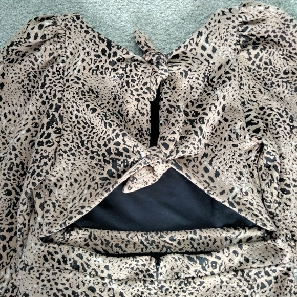 NWT Sz 14 Anthro Animal Print Dress - Picture 12 of 16